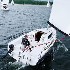 Maxus 26