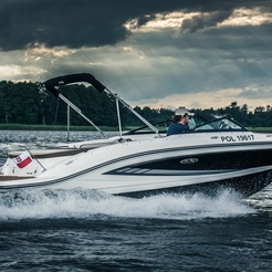 Sea Ray 210