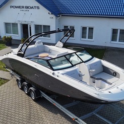 Sea Ray SDX 290