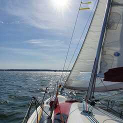 Laguna 25 (730)
