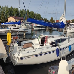 Maxus 24