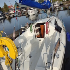 Maxus 24