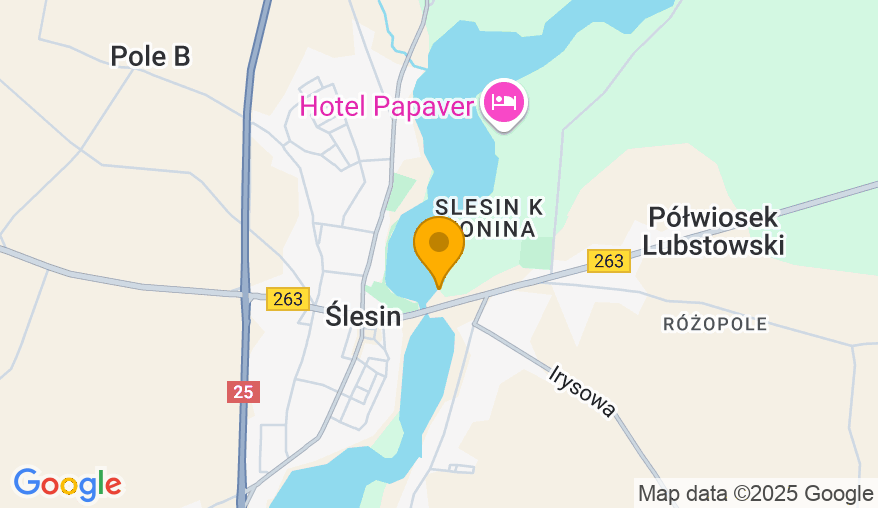port Marina Ślesin